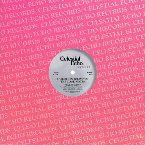 The Cool Notes - I Forgot How To Love You