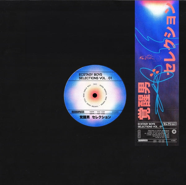 Ecstacy Boys - Selections Vol. 1 [12"]