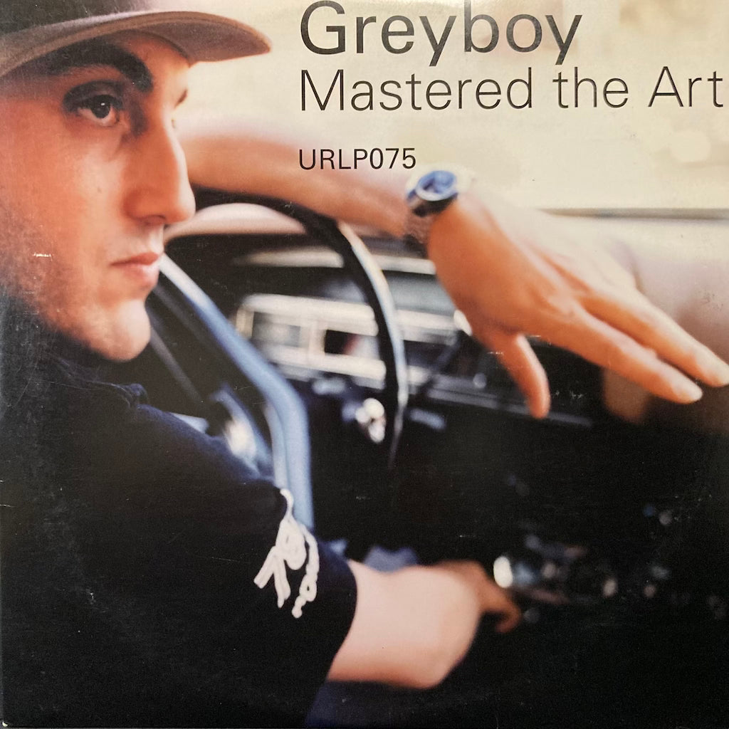 Greyboy - Mastered the Art