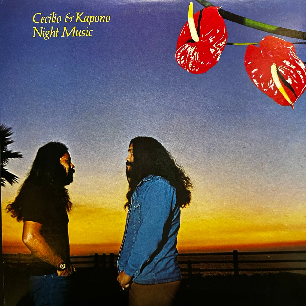 Cecilio & Kapono - Night Music