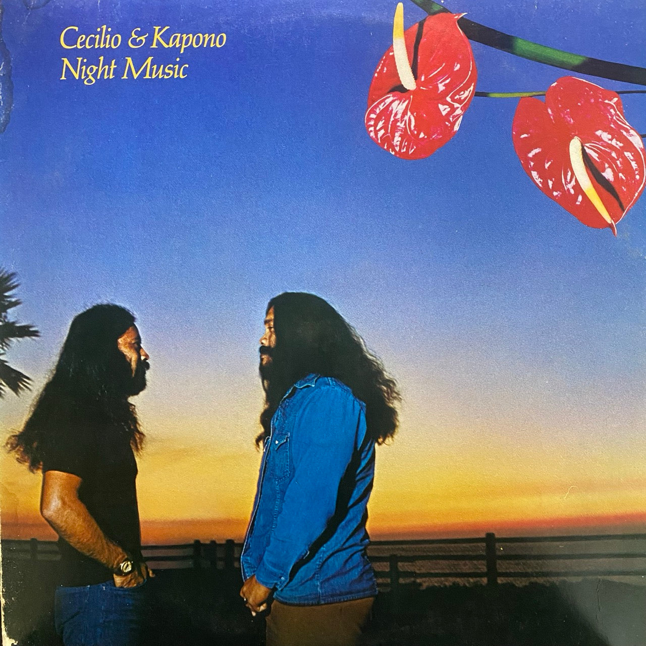 Cecilio & Kapono – Night Music