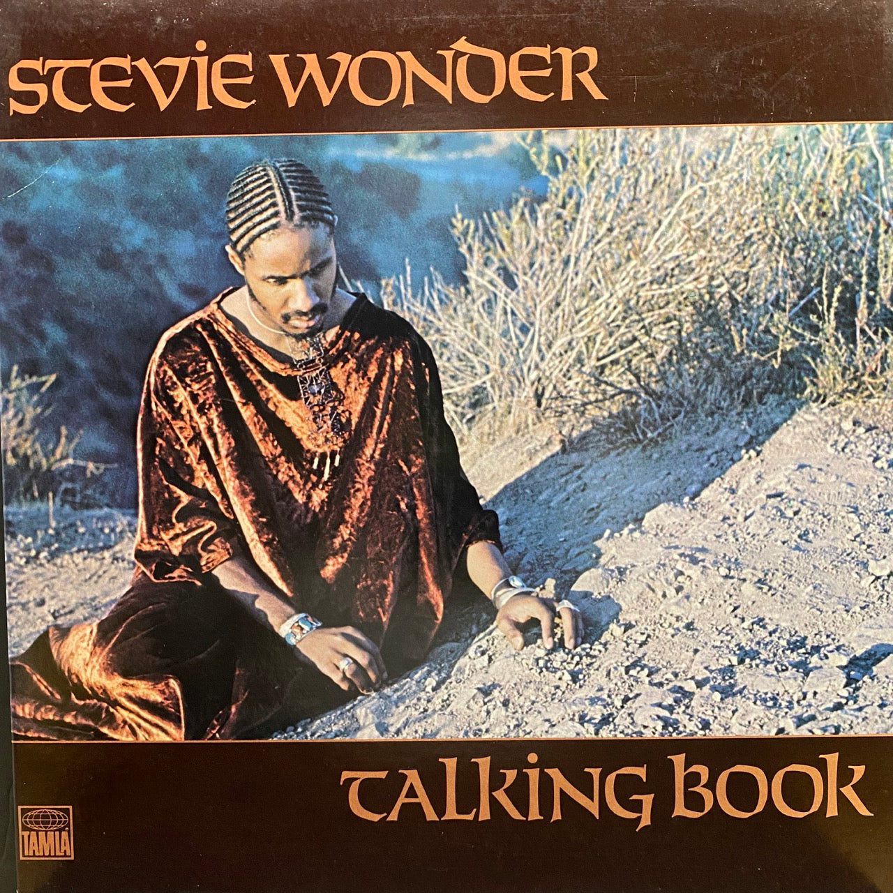 Stevie Wonder – Talking Book