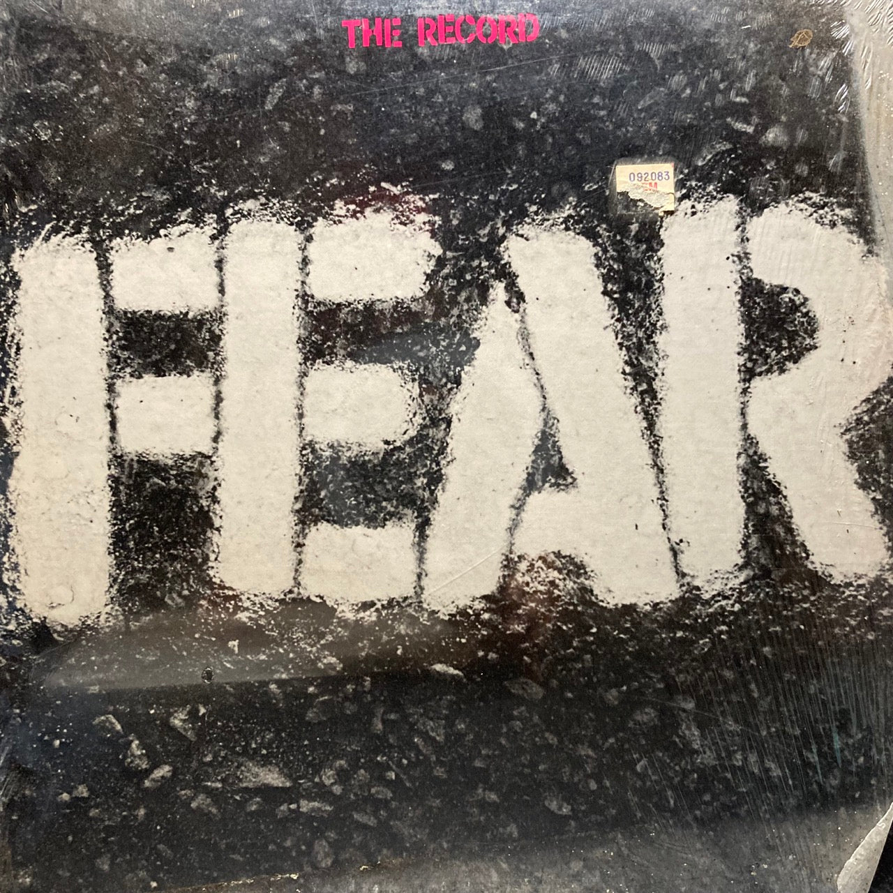 Fear - The Record
