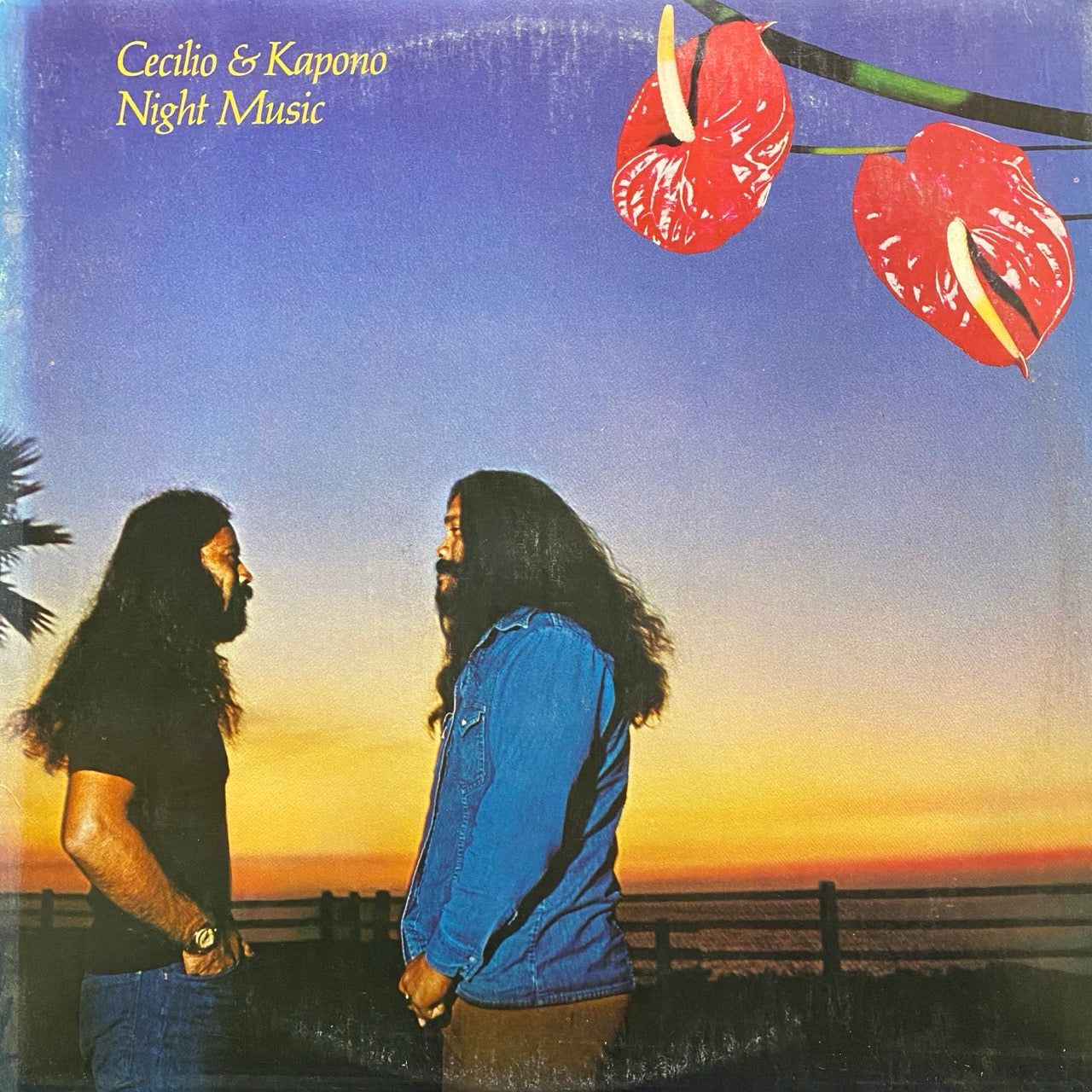 Cecilio & Kapono – Night Music