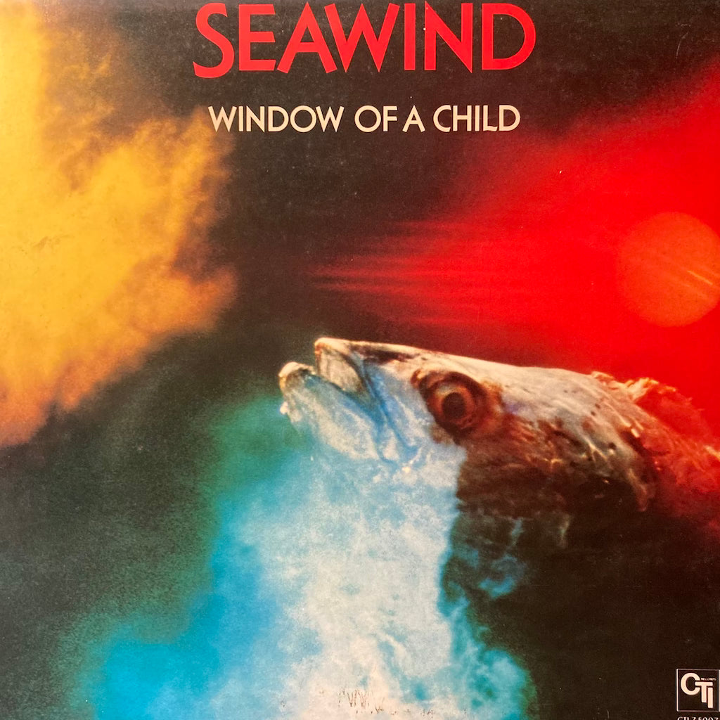 Seawind - Window of a Child