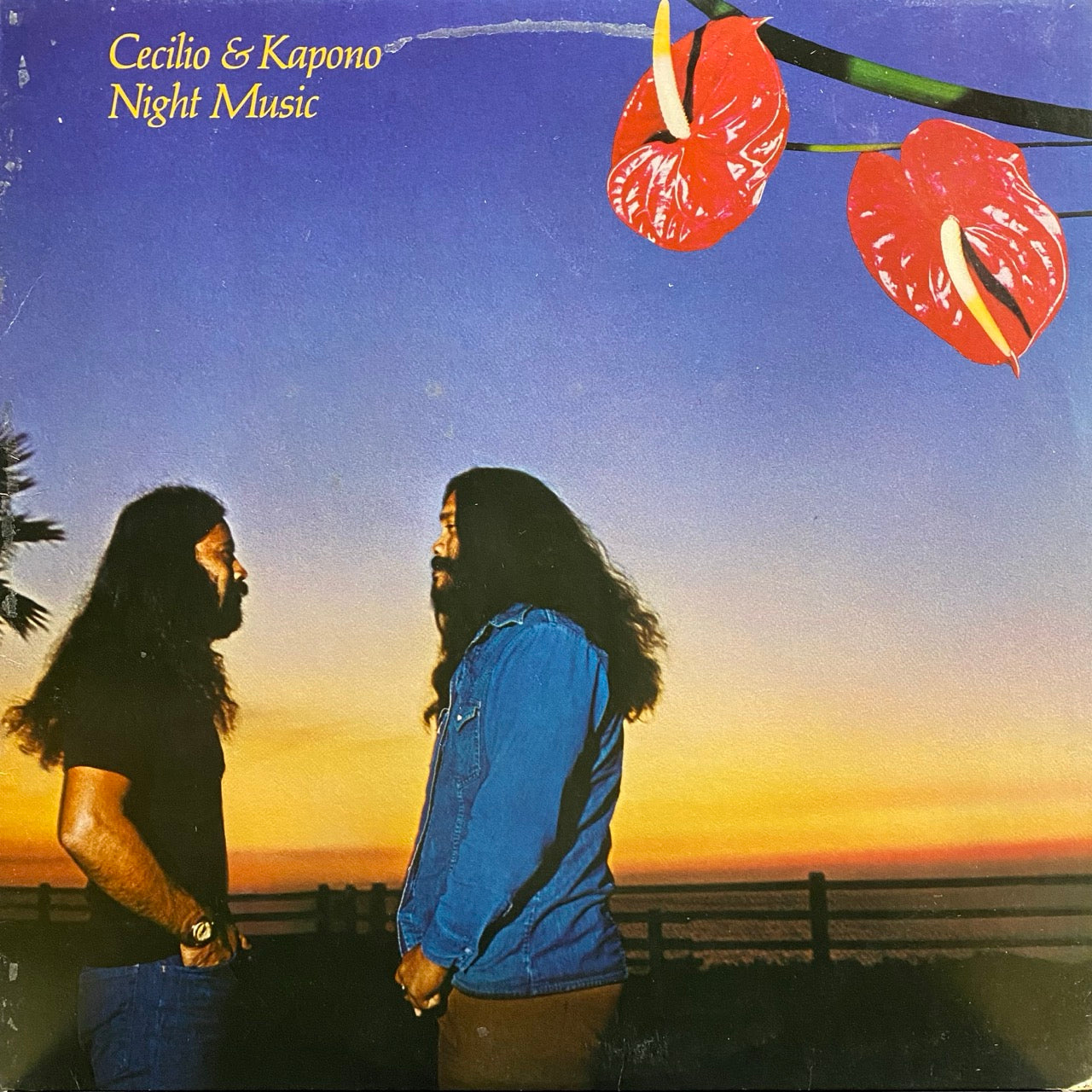 Cecilio & Kapono – Night Music