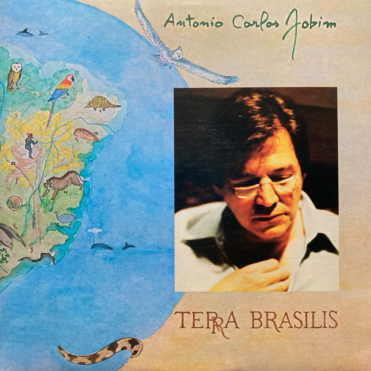Antonio Carlos Jobim - Terra Brasilis [2LP]