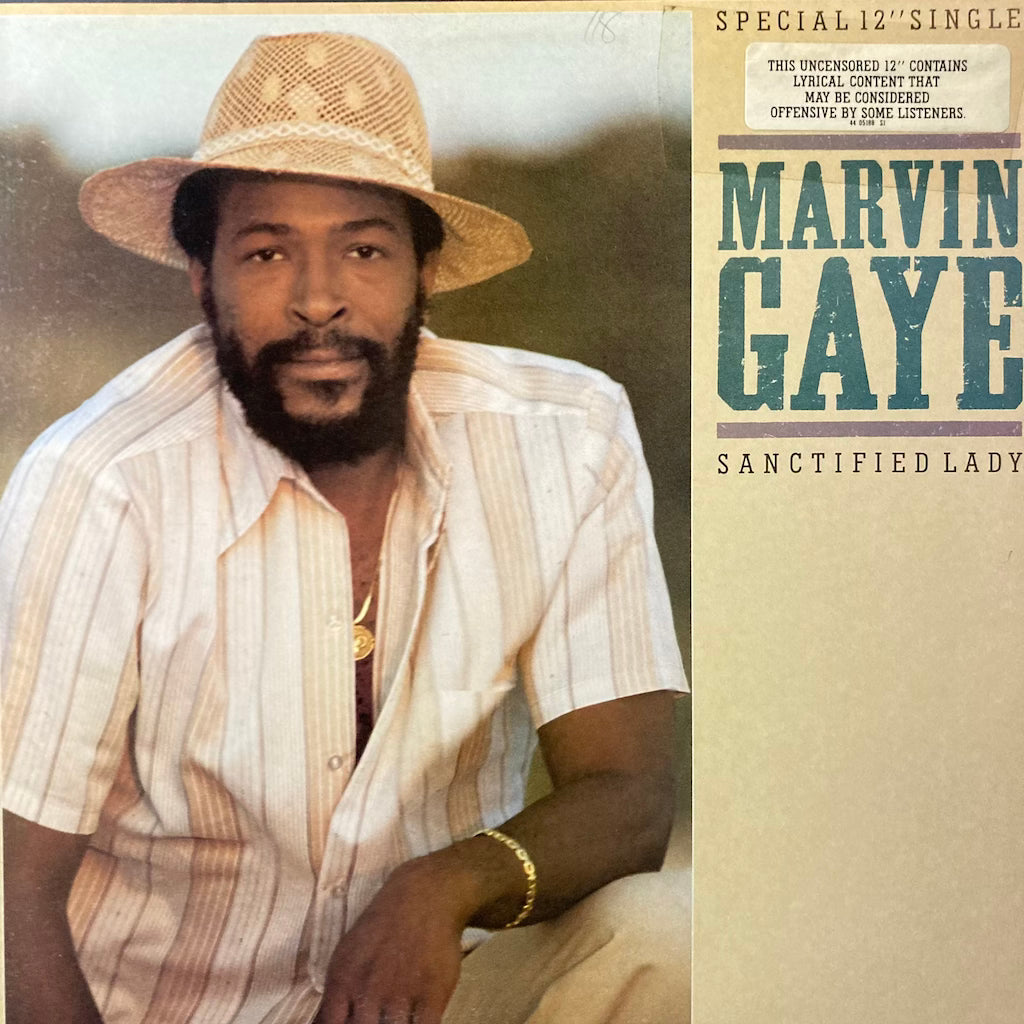 Marvin Gaye - Sanctified Lady