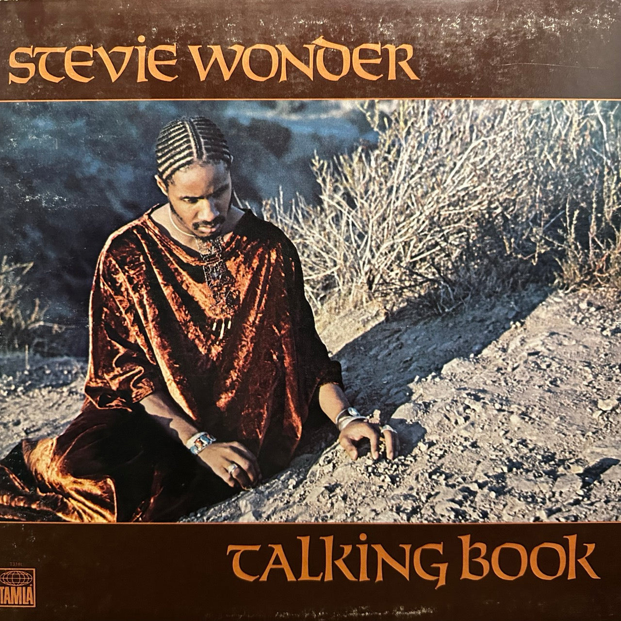 Stevie Wonder – Talking Book