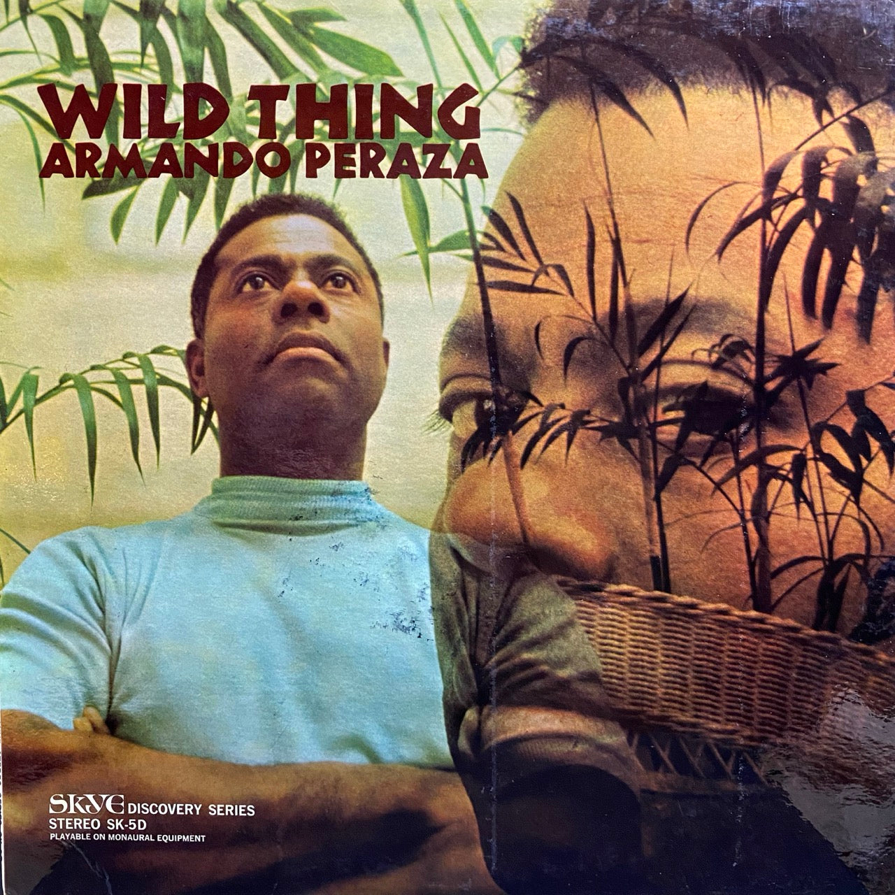 Armando Peraza – Wild Thing