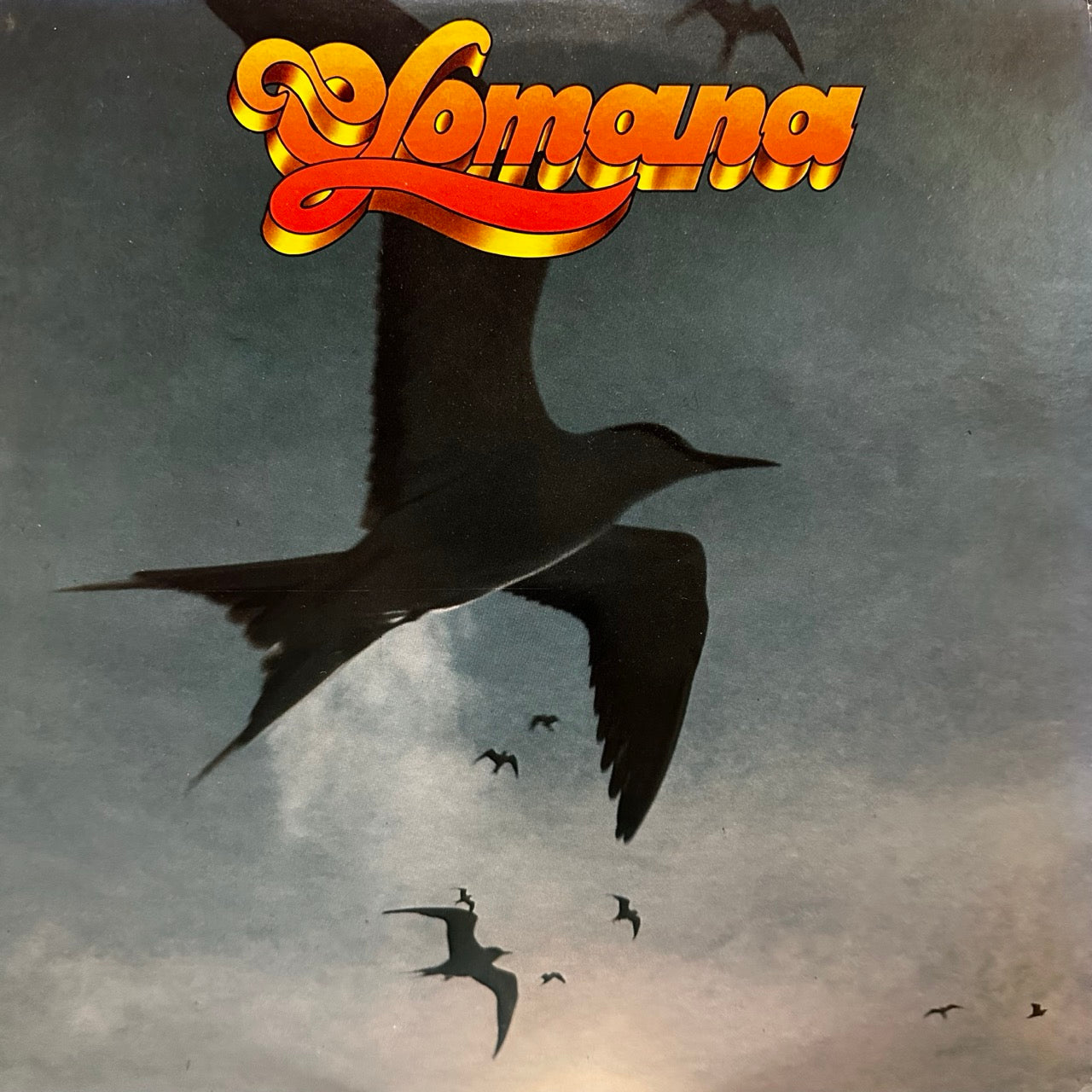 Olomana - Like A Seabird In The Wind