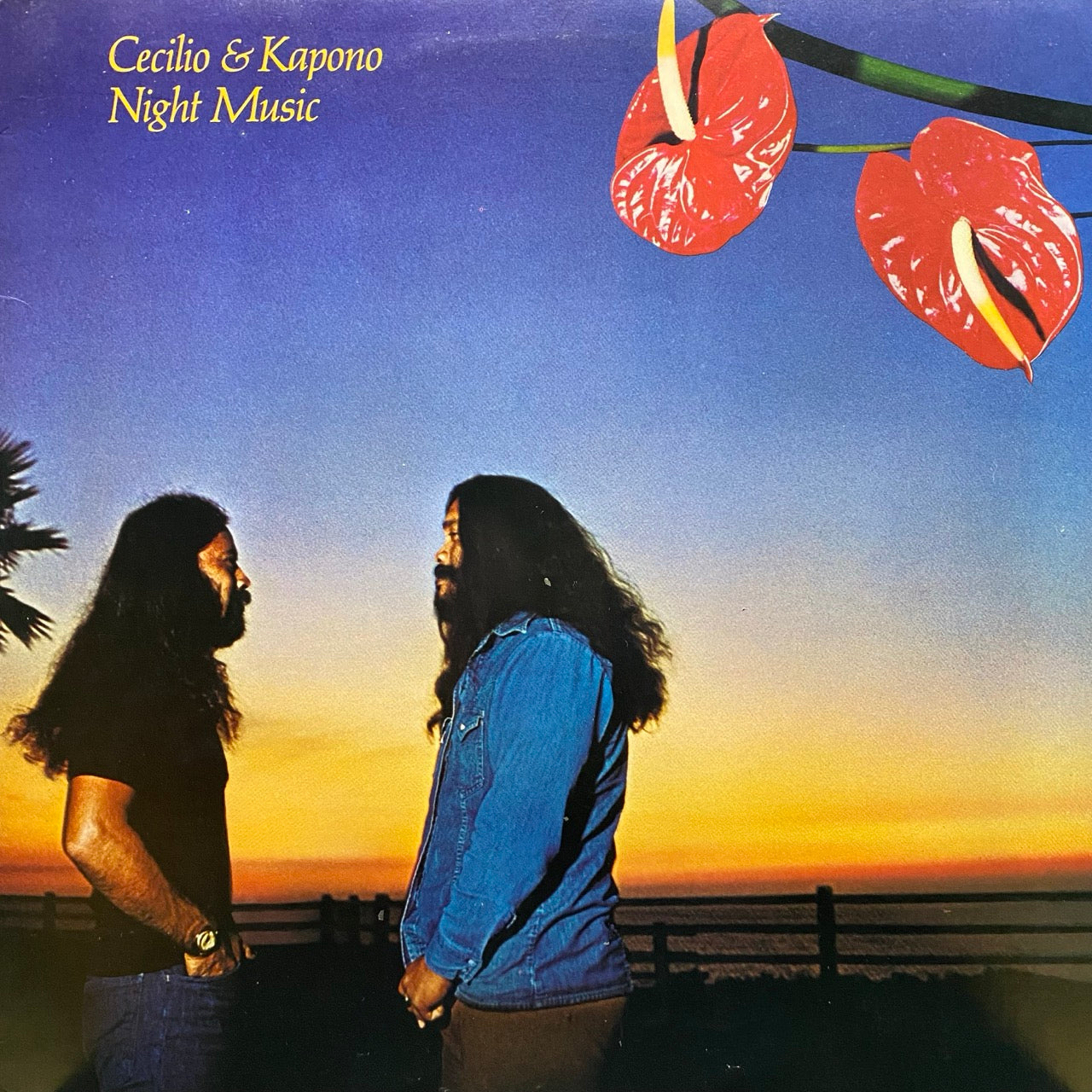 Cecilio & Kapono – Night Music
