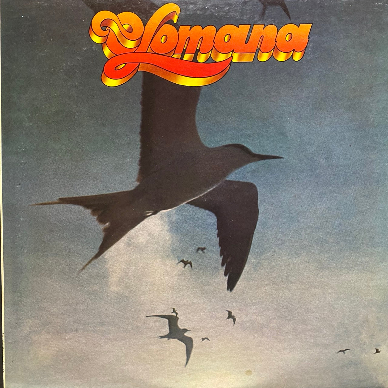 Olomana – Like A Seabird In The Wind