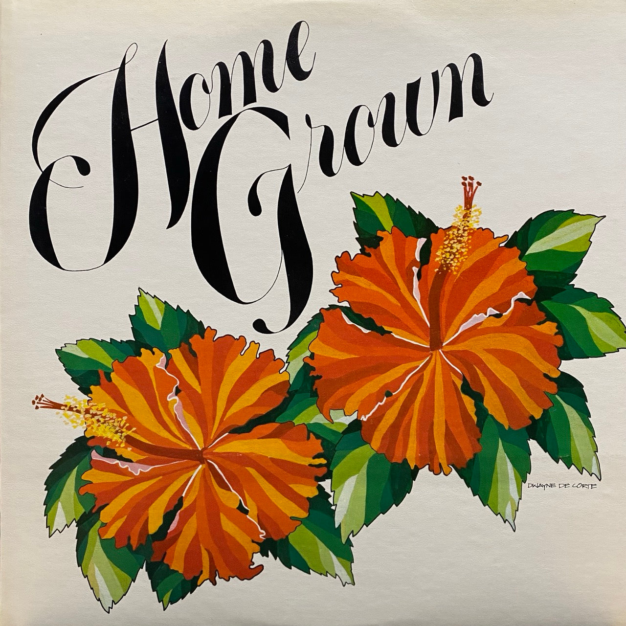 V/A – Home Grown II