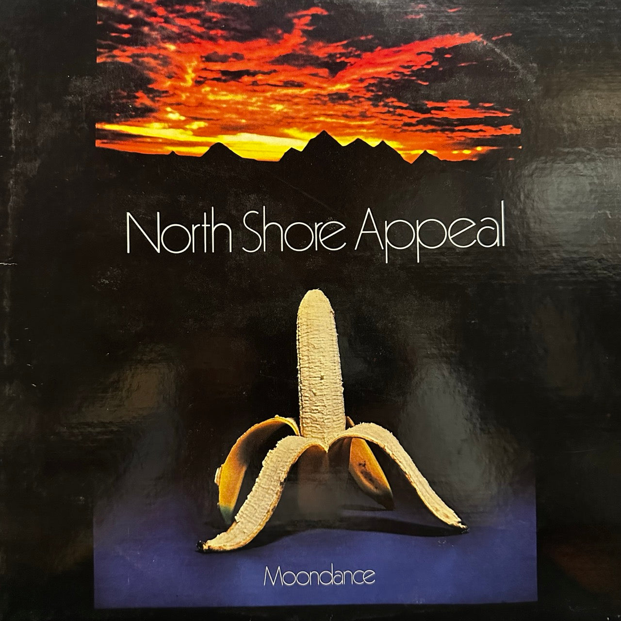 Moondance – North Shore Appeal