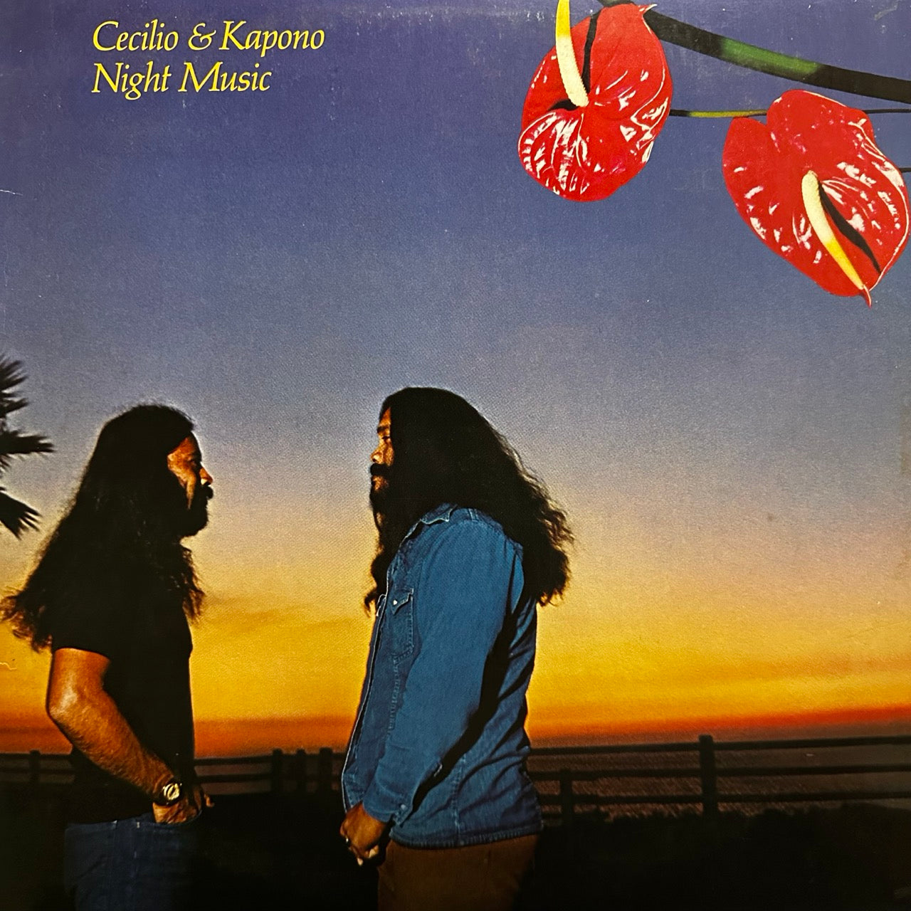 Cecilio & Kapono – Night Music
