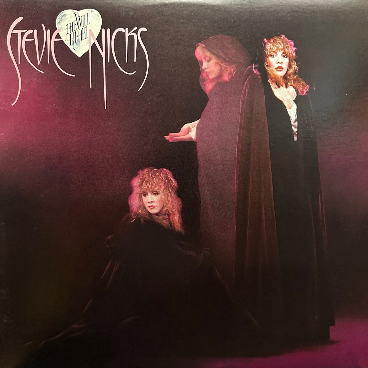 Stevie Nicks – The Wild Heart