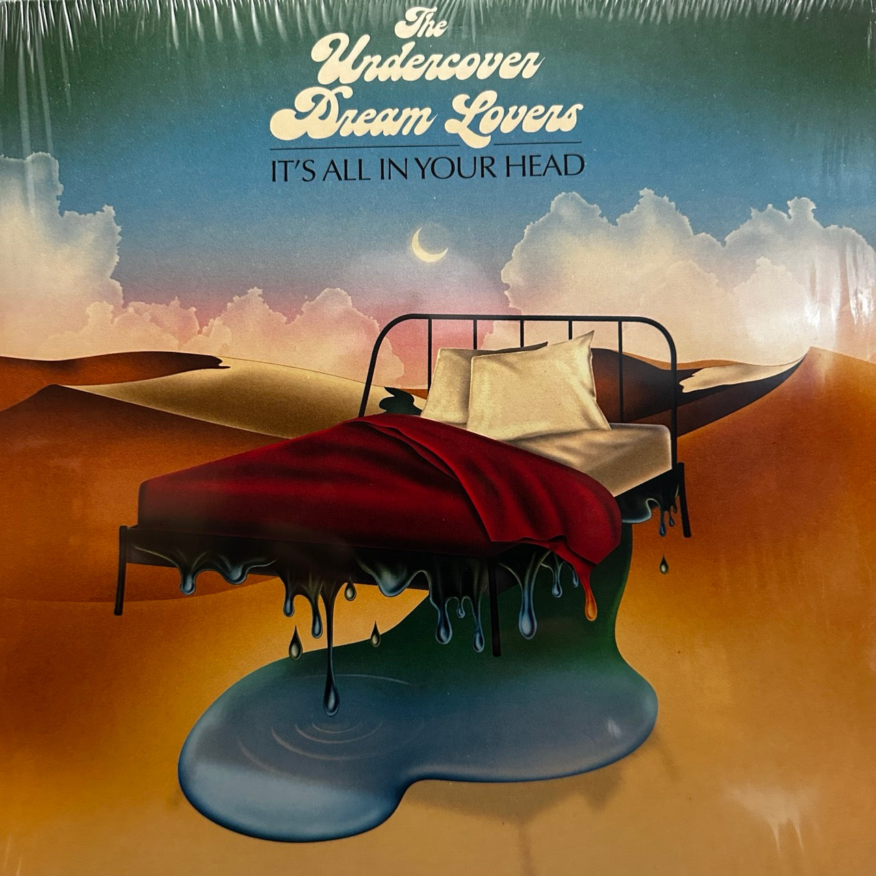 The Undercover Dream Lovers – It's All In Your Head