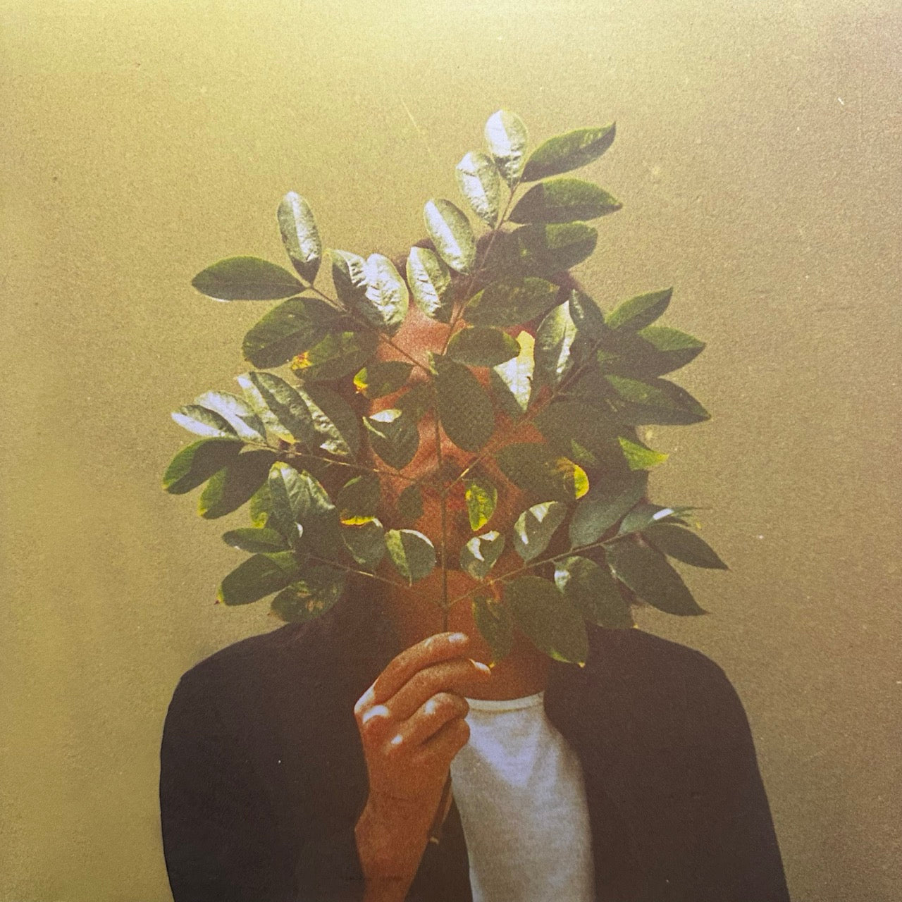 FKJ – French Kiwi Juice [2LP]