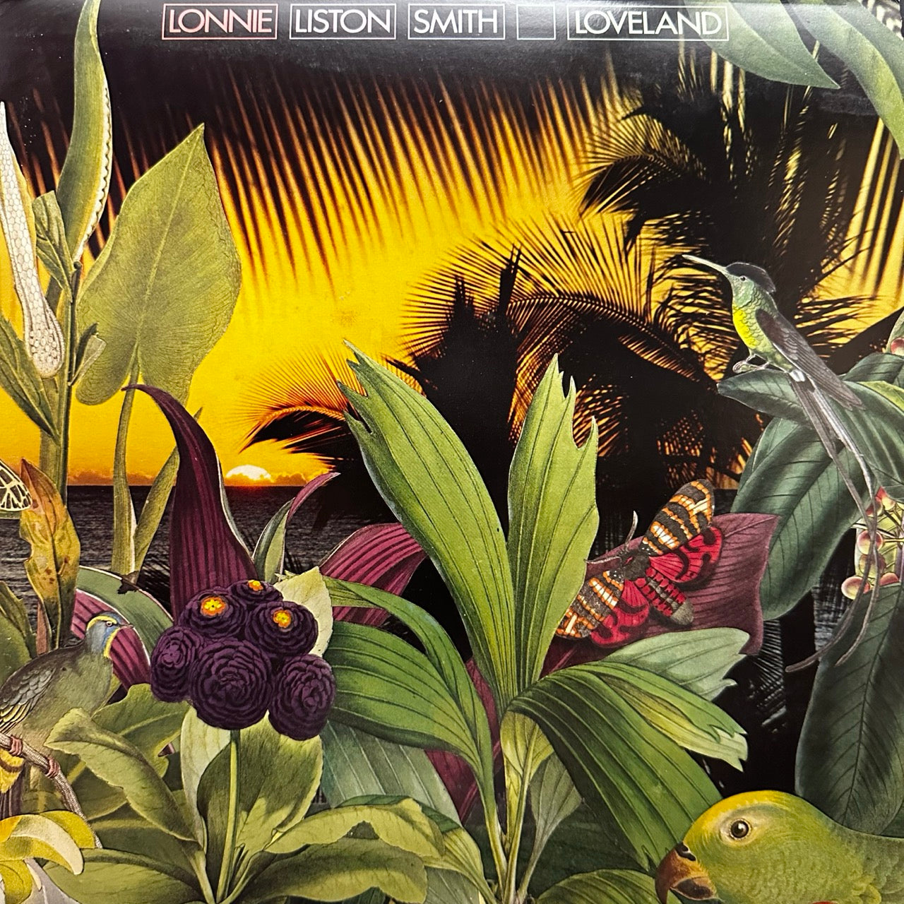 Lonnie Liston Smith – Loveland