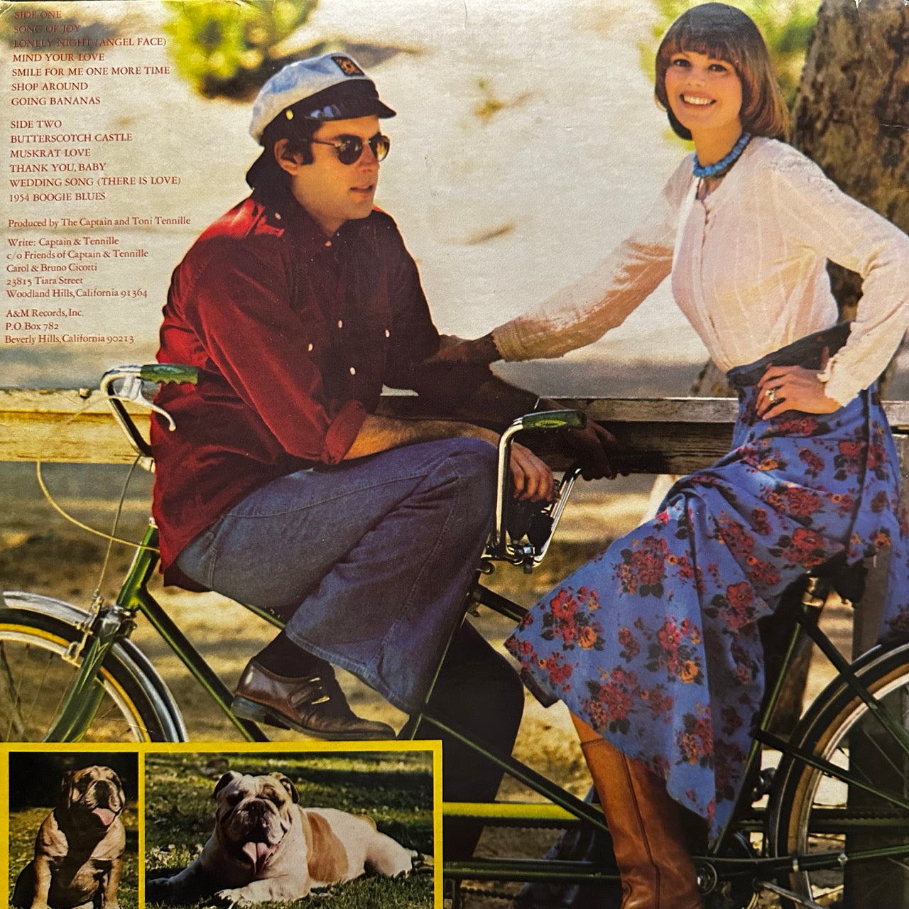 Captain & Tennille – Song Of Joy