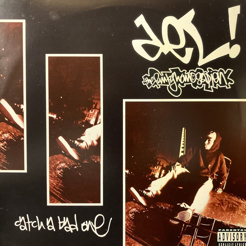 Del The Funky Homosapien - Catch A Bad One