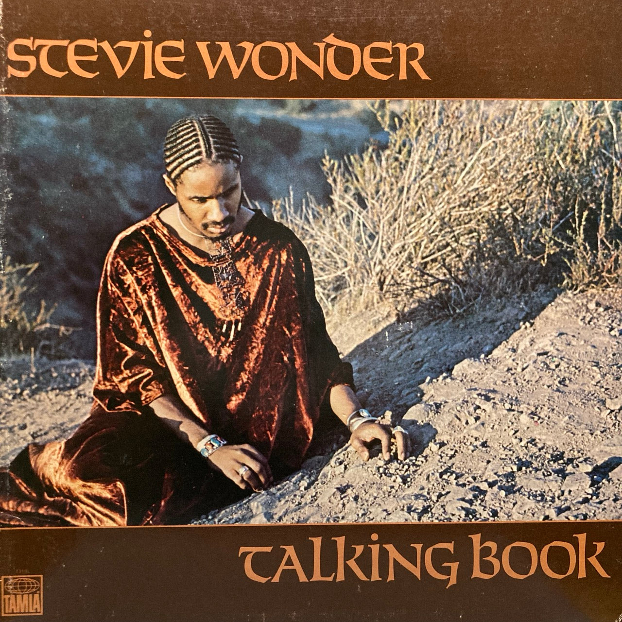 Stevie Wonder – Talking Book