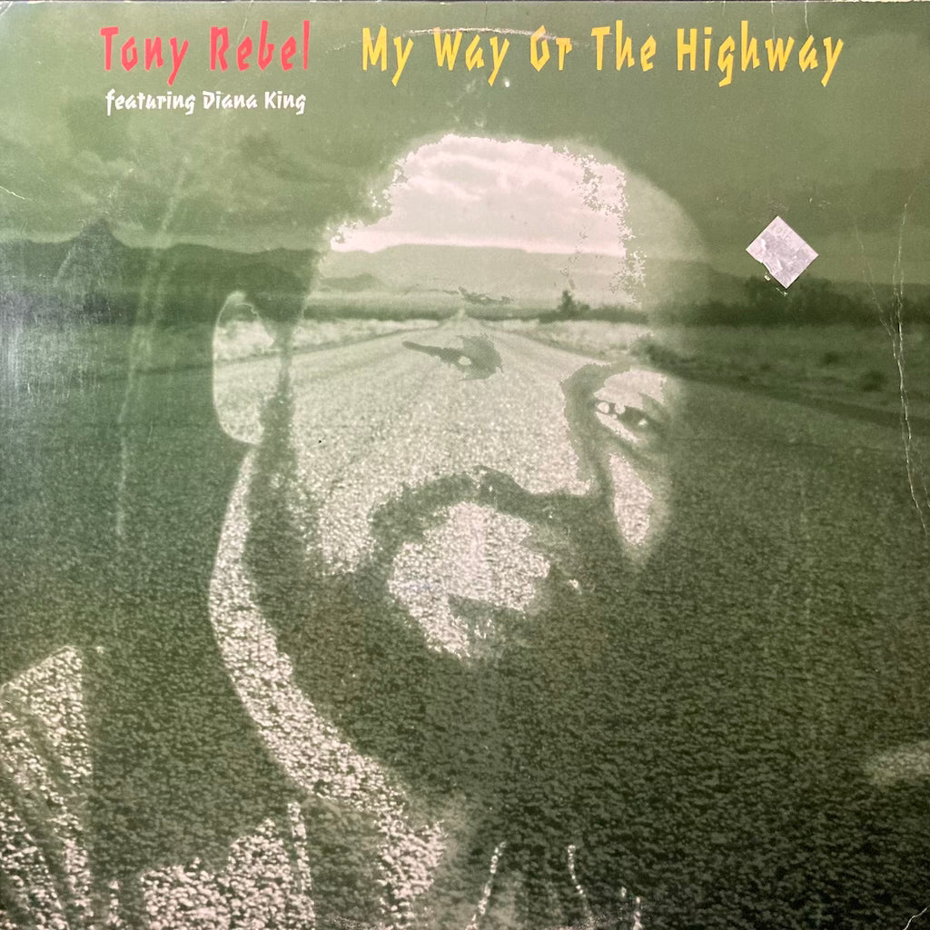 Tony Rebel ft. Diana King - My Way Or The Highway/The Voice and The Pen 12"