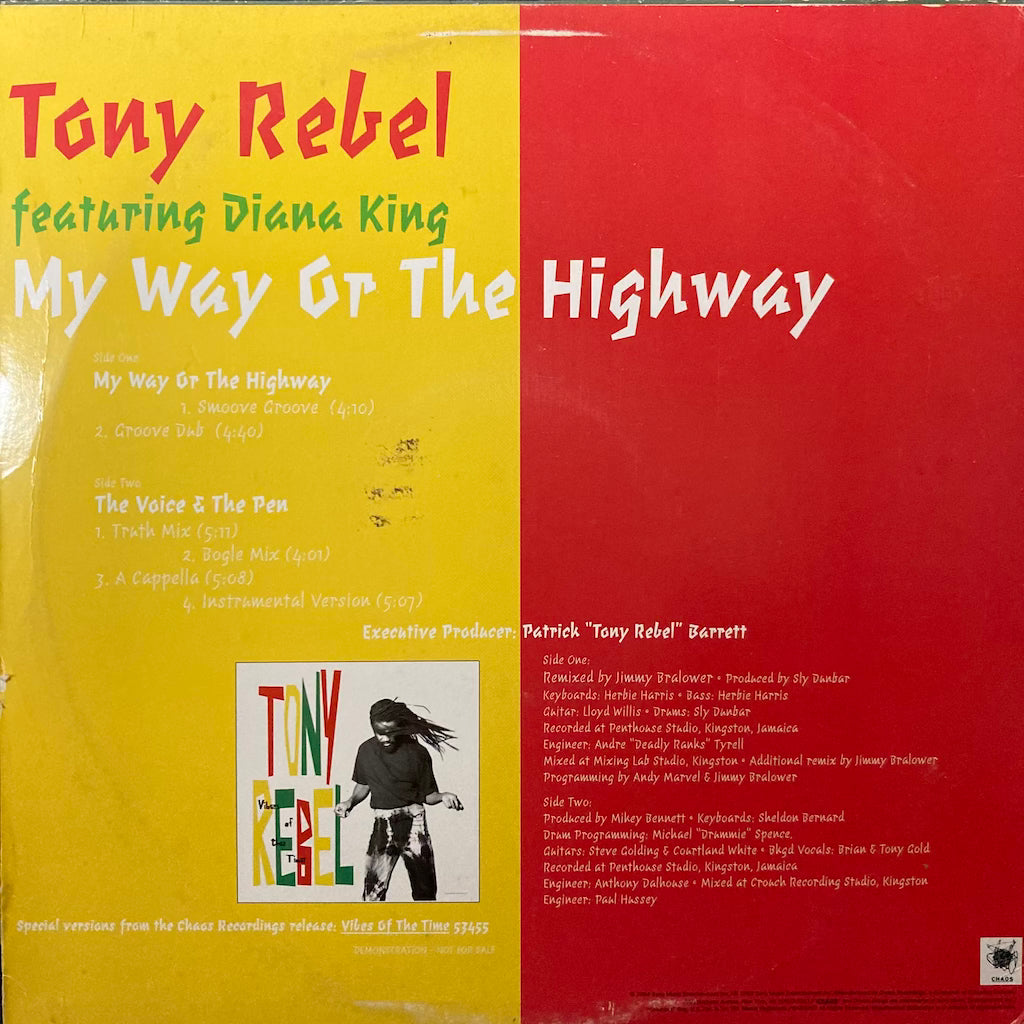 Tony Rebel ft. Diana King - My Way Or The Highway/The Voice and The Pen 12"