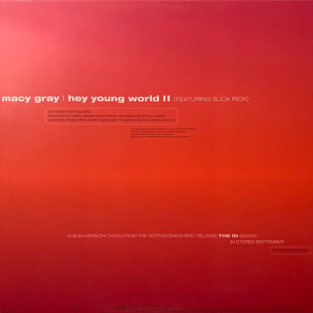 Macy Gray - Hey Young World II ft. Slick Rick