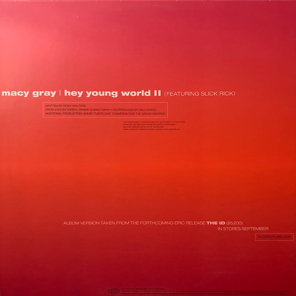 Macy Gray - Hey Young World II ft. Slick Rick