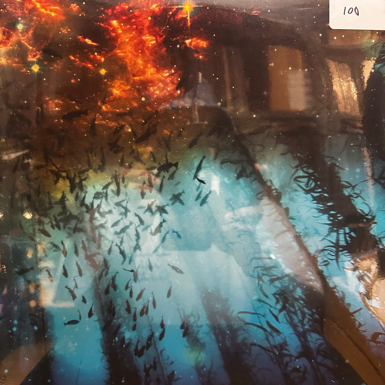 Saki Yumi - Cyberfish