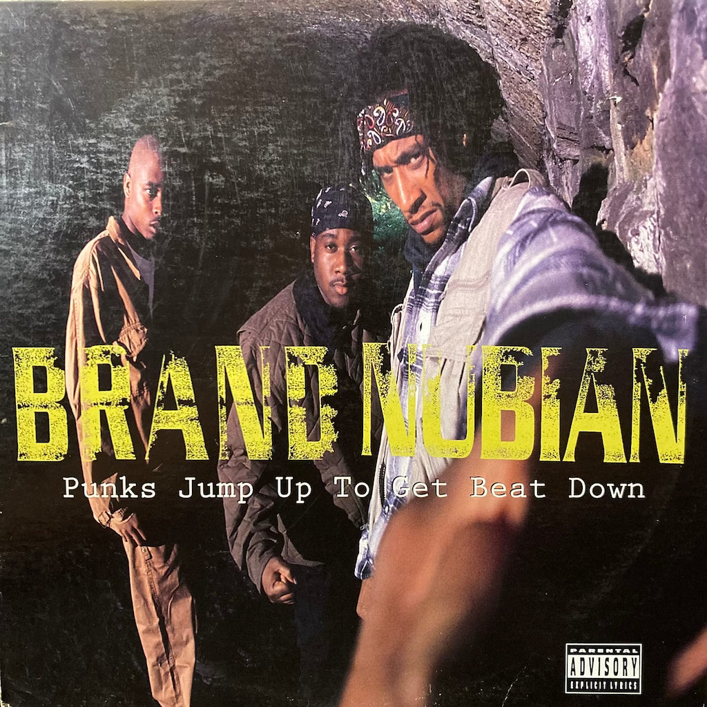 Brand Nubian - Punks Jump Up To Get Beat 12"
