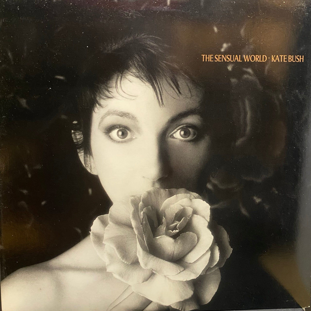 Kate Bush – The Sensual World