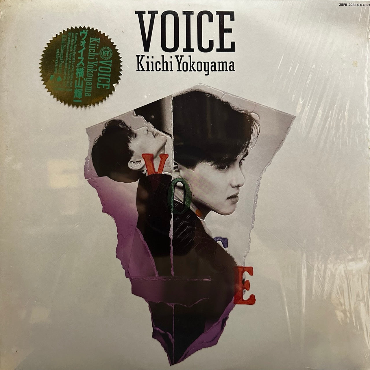 Kiichi Yokoyama – Voice