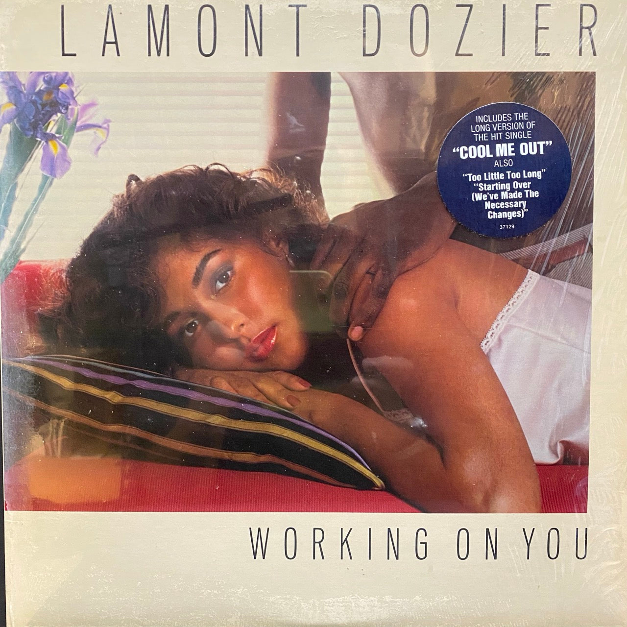 Lamont Dozier – Working On You