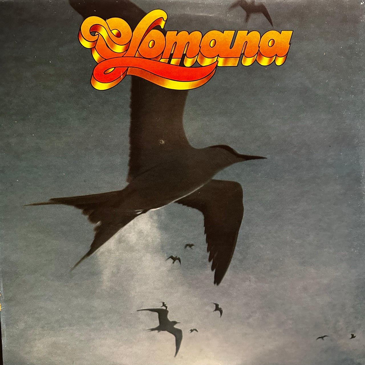 Olomana – Like A Seabird In The Wind