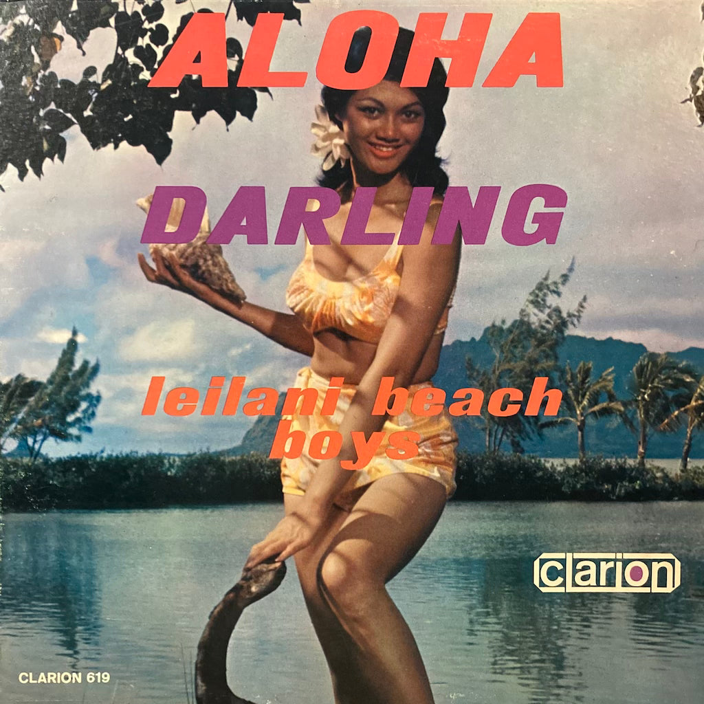 Leilani Beach Boys - Aloha Darling