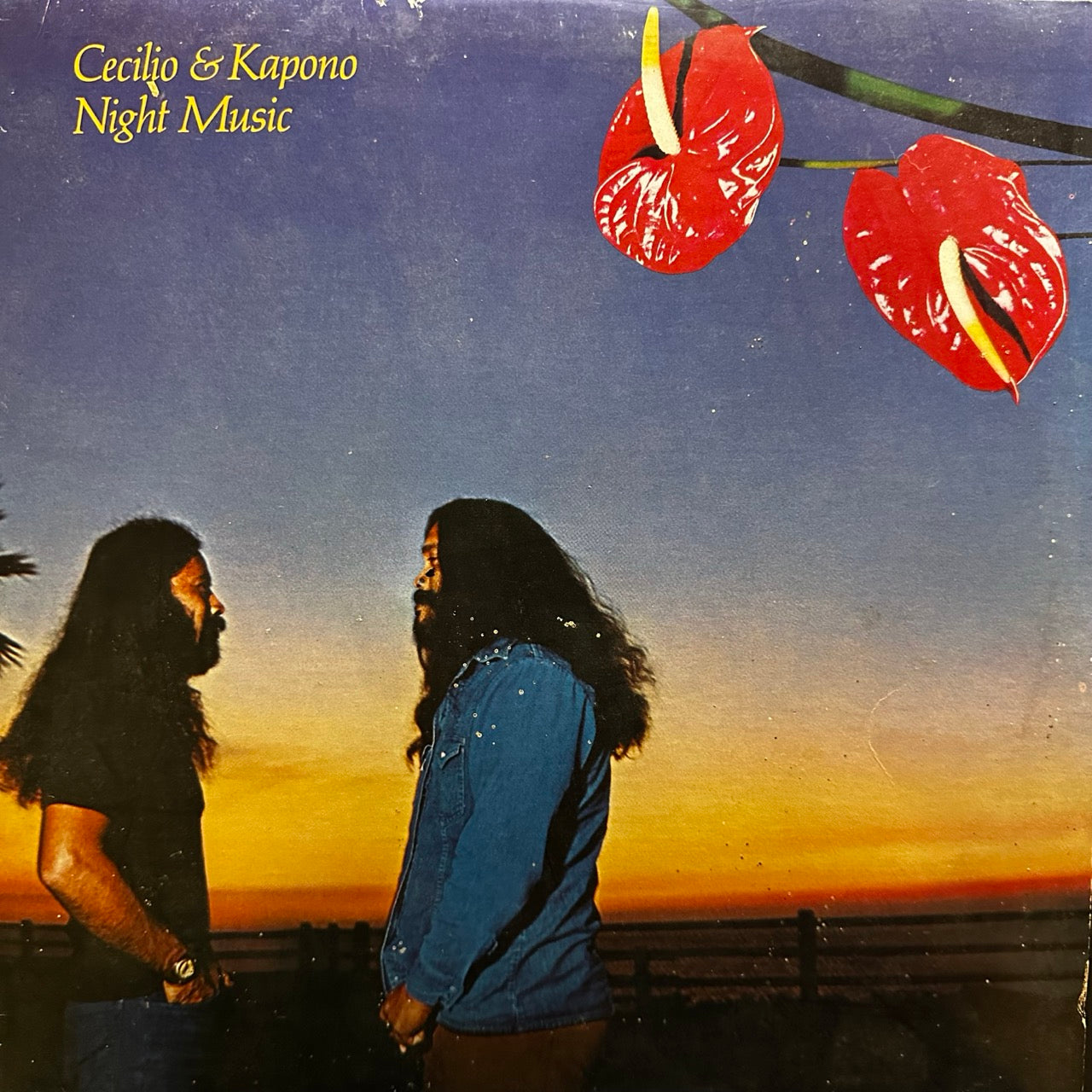 Cecilio & Kapono – Night Music
