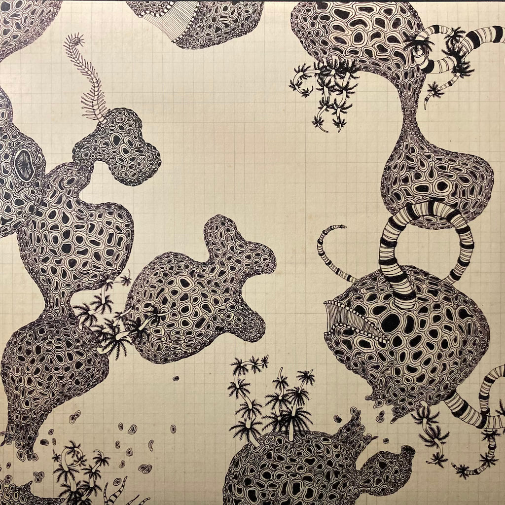 The Shins - Wincing The Night Away