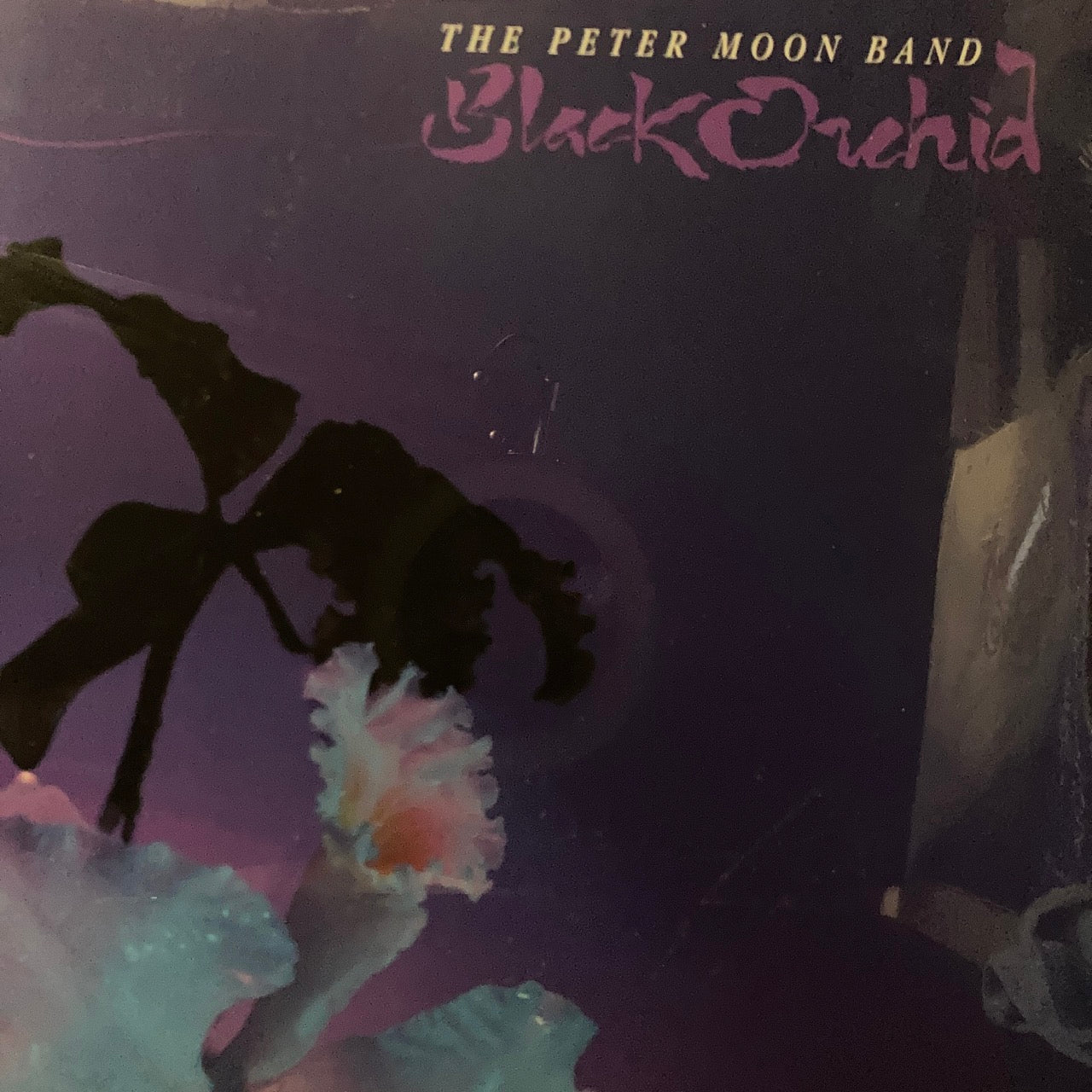 Peter Moon Band - Black Orchid [sealed]