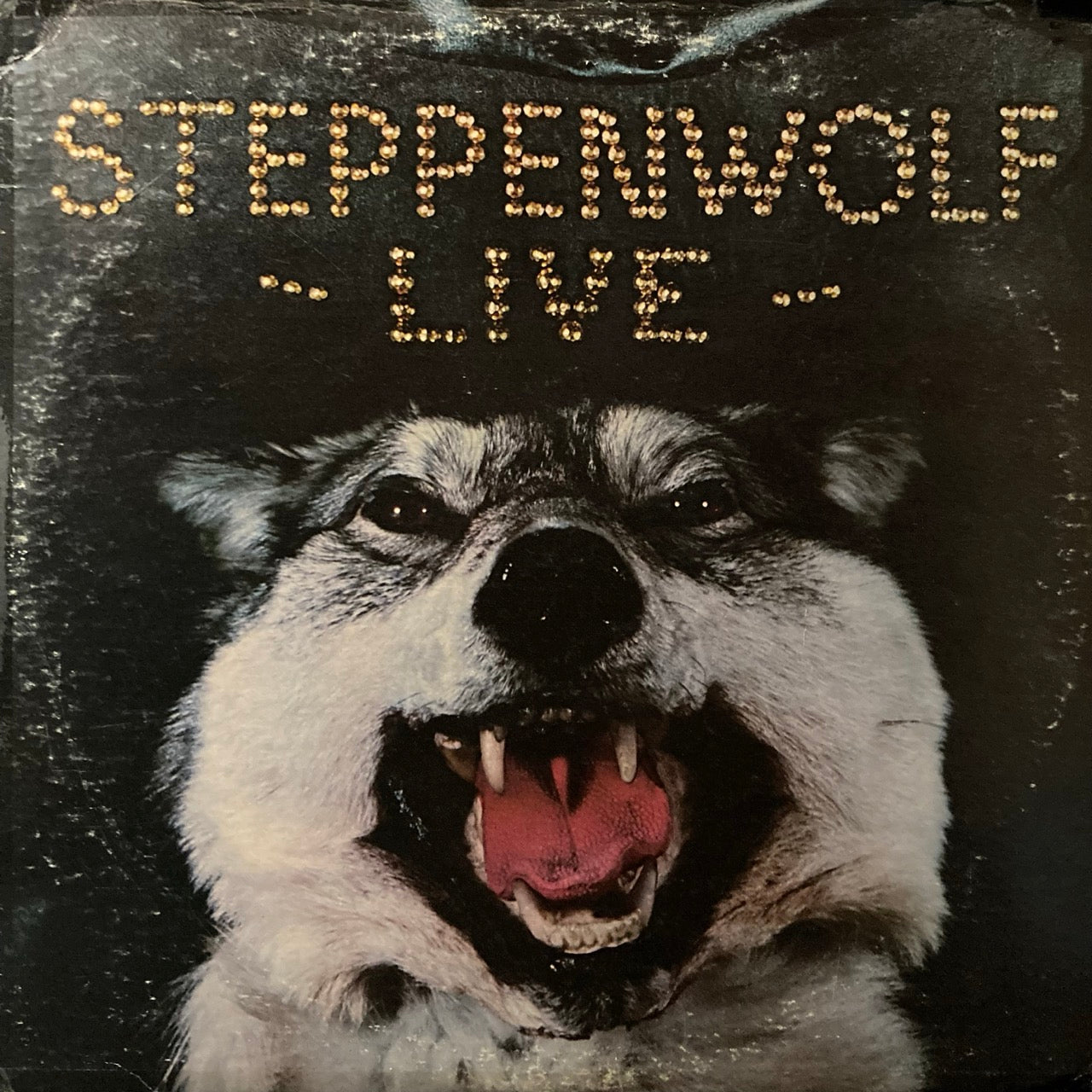 Steppenwolf - LIVE