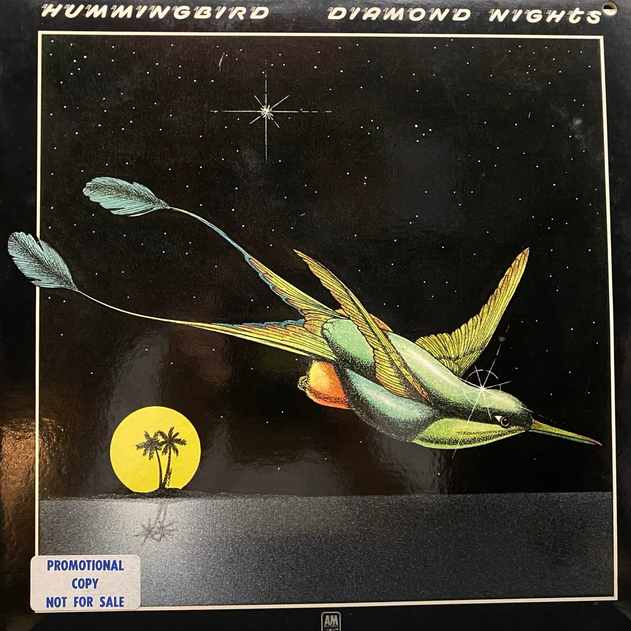 Hummingbird – Diamond Nights
