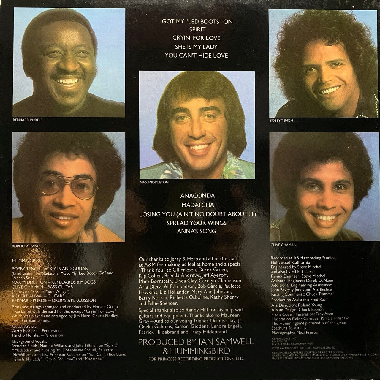 Hummingbird – Diamond Nights