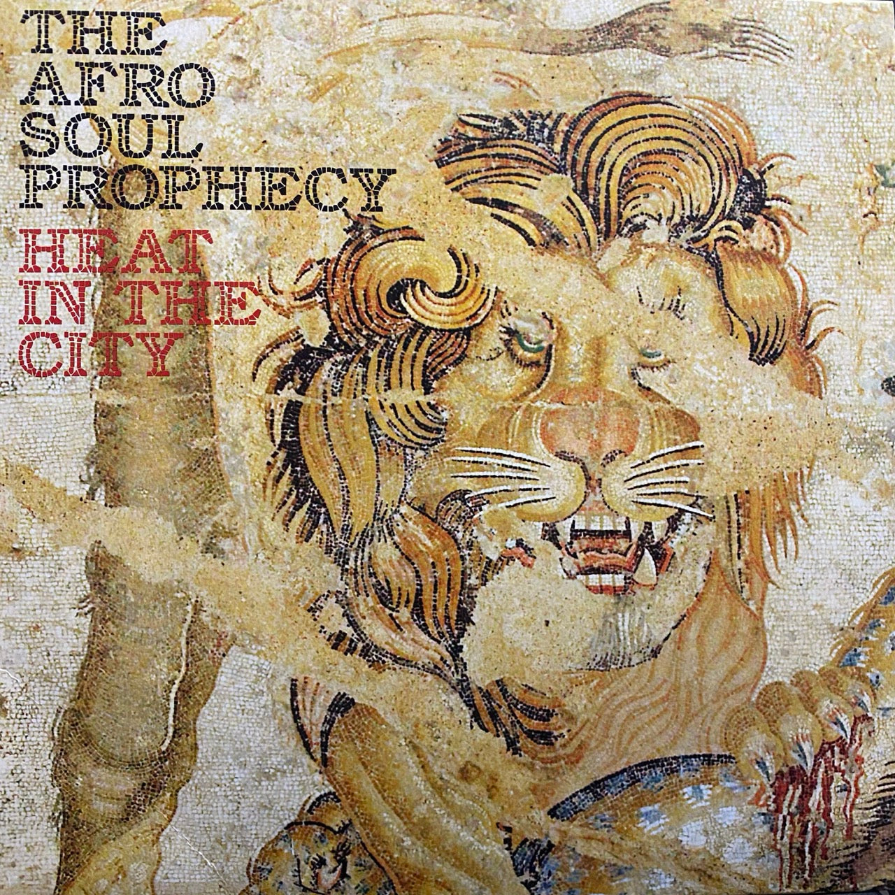 The Afro Soul Prophecy – Heat In The City
