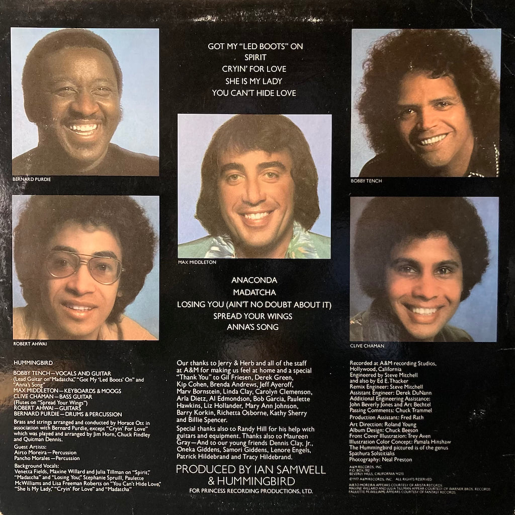 Hummingbird - Diamond Nights