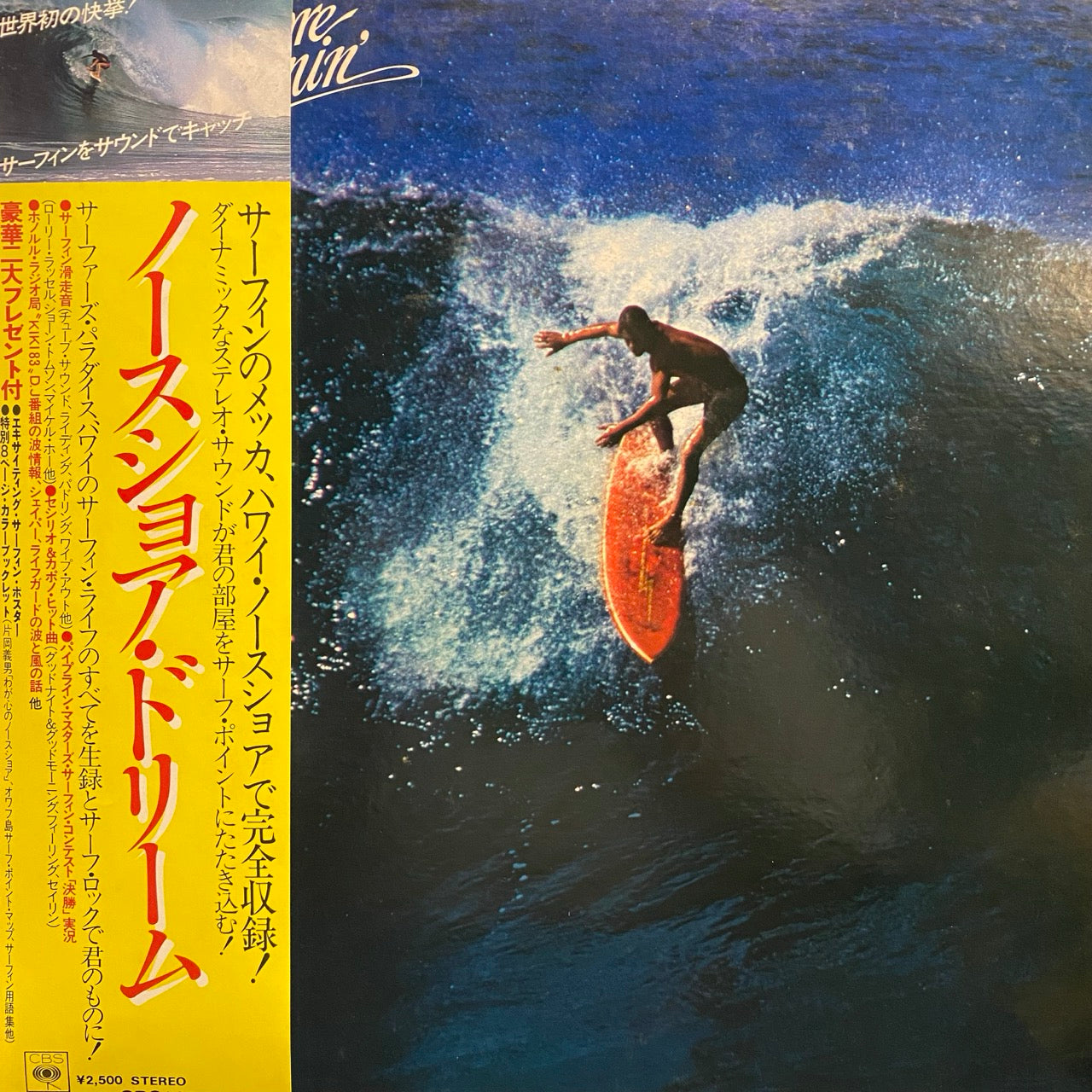 Various – The North Shore Dreamin'