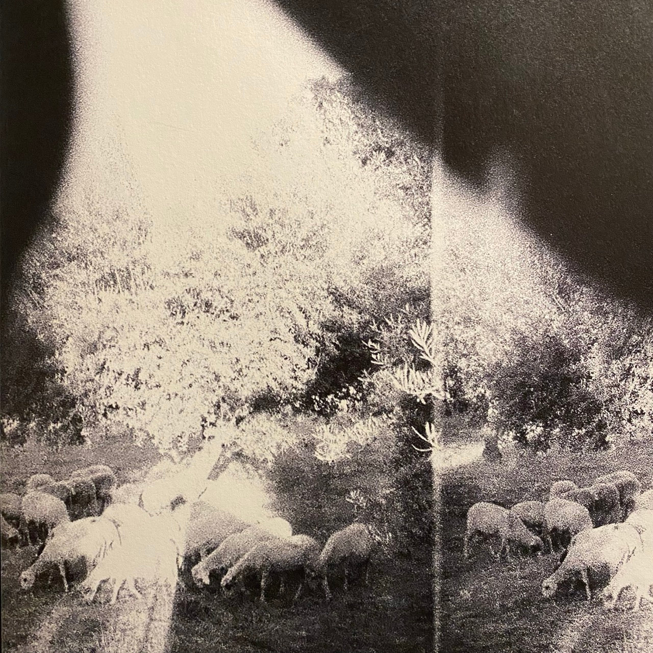 Godspeed You! Black Emperor – Asunder, Sweet And Other Distress