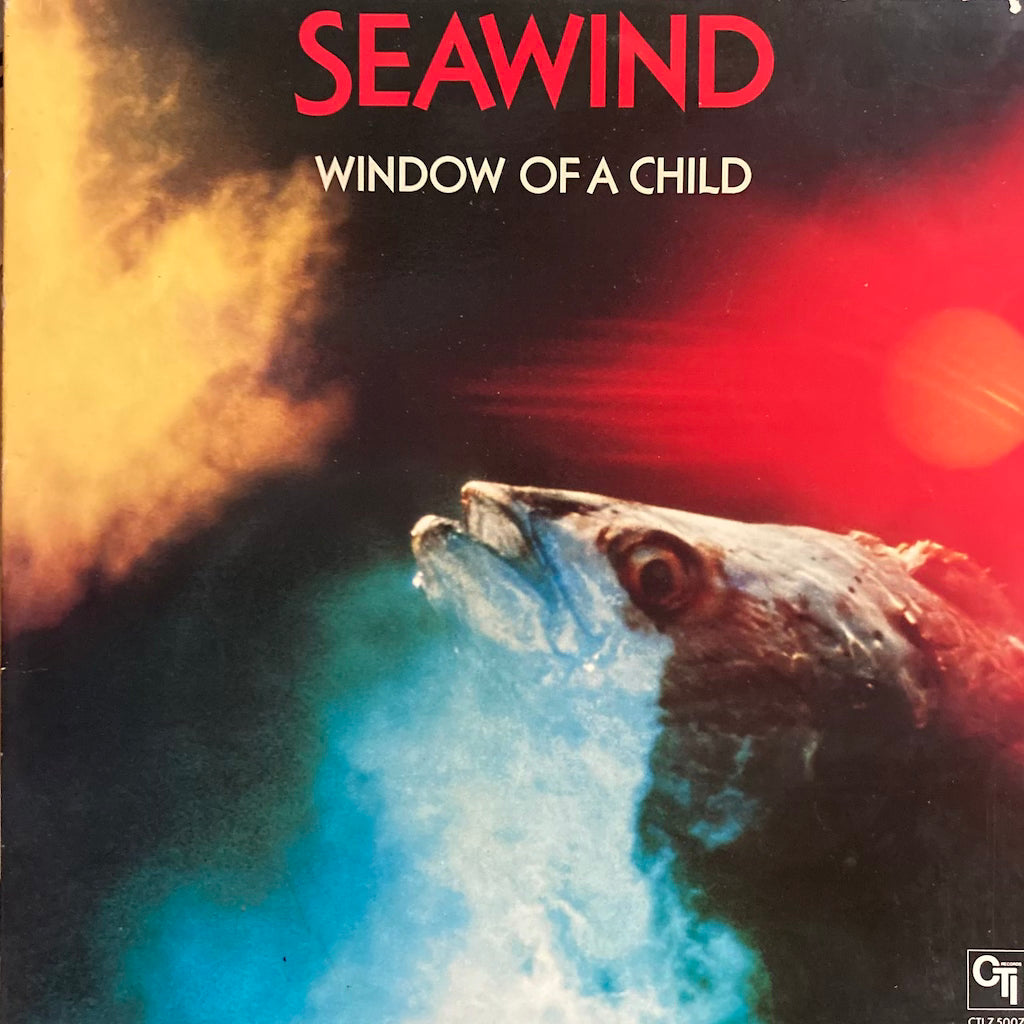 Seawind - Window of a Child