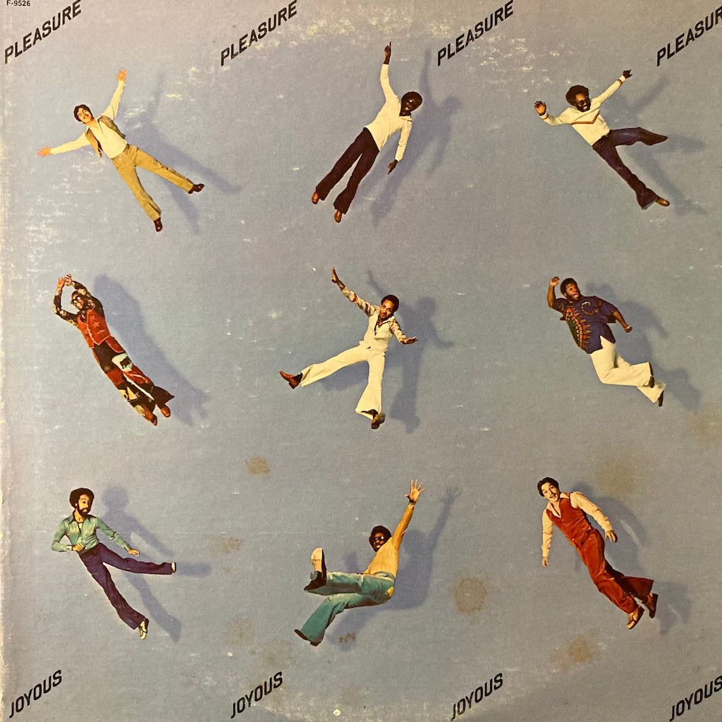 Pleasure - Joyous
